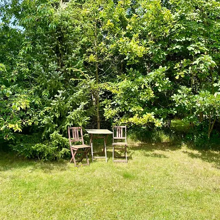 Cozy Original - Close To The